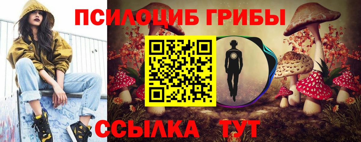 Галлюциногенные грибы MAGIC MUSHROOMS  Вход с VPN  Надым  Псилоцибиновые грибы мухоморы 