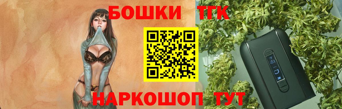 Бошки Шишки план Надым